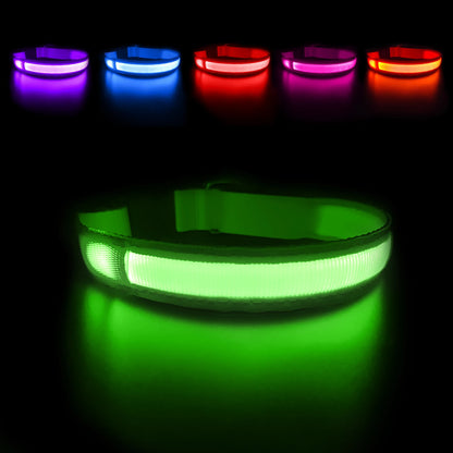 Neo Glow LED Halsband