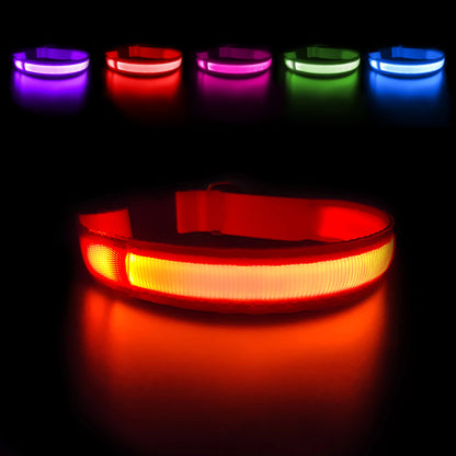 Neo Glow LED Halsband