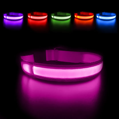 Neo Glow LED Halsband