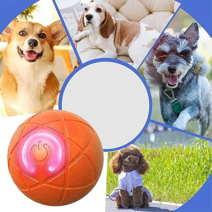 Turbo Paw Interaktiver Smart Ball