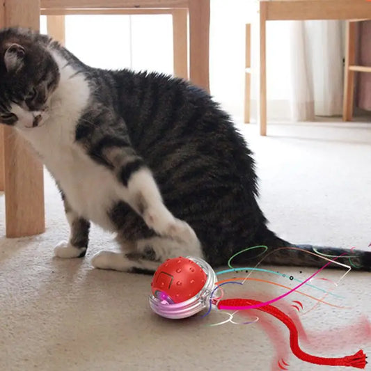 PurrMotion Intelligenter Ball