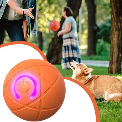 Turbo Paw Interaktiver Smart Ball